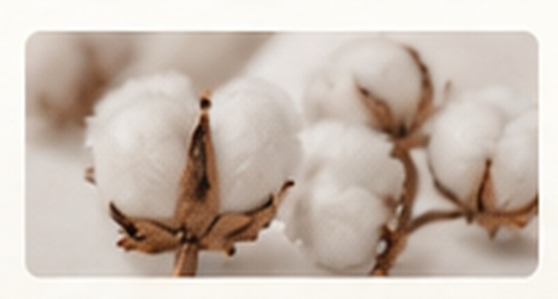 Cotton fibre and cotton material